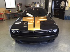 2015 Dodge Challenger with custom Gold Chrome vinyl graphics and 22 inch Lexani CSS-15 wheels with Gold Chrome accents.  2 Kicker Comp R 12 inch subs with Kicker KX800.1 amp.