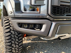2019 Ford Raptor with Readylift leveling kit 20x9 Method Race wheels and 35 inch Mastercraft MXT tires.  Rough Country LED fog light kit.